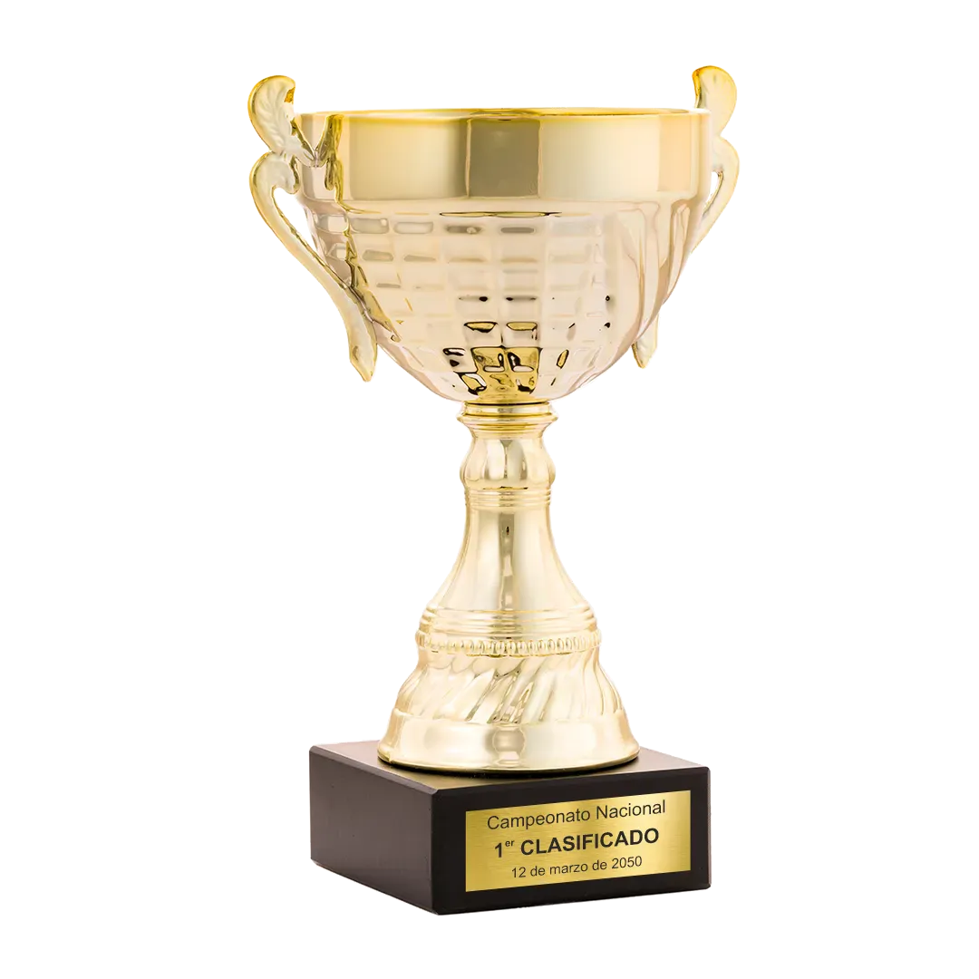 Trofeo Copa Hampton en Trofeos LeverySport