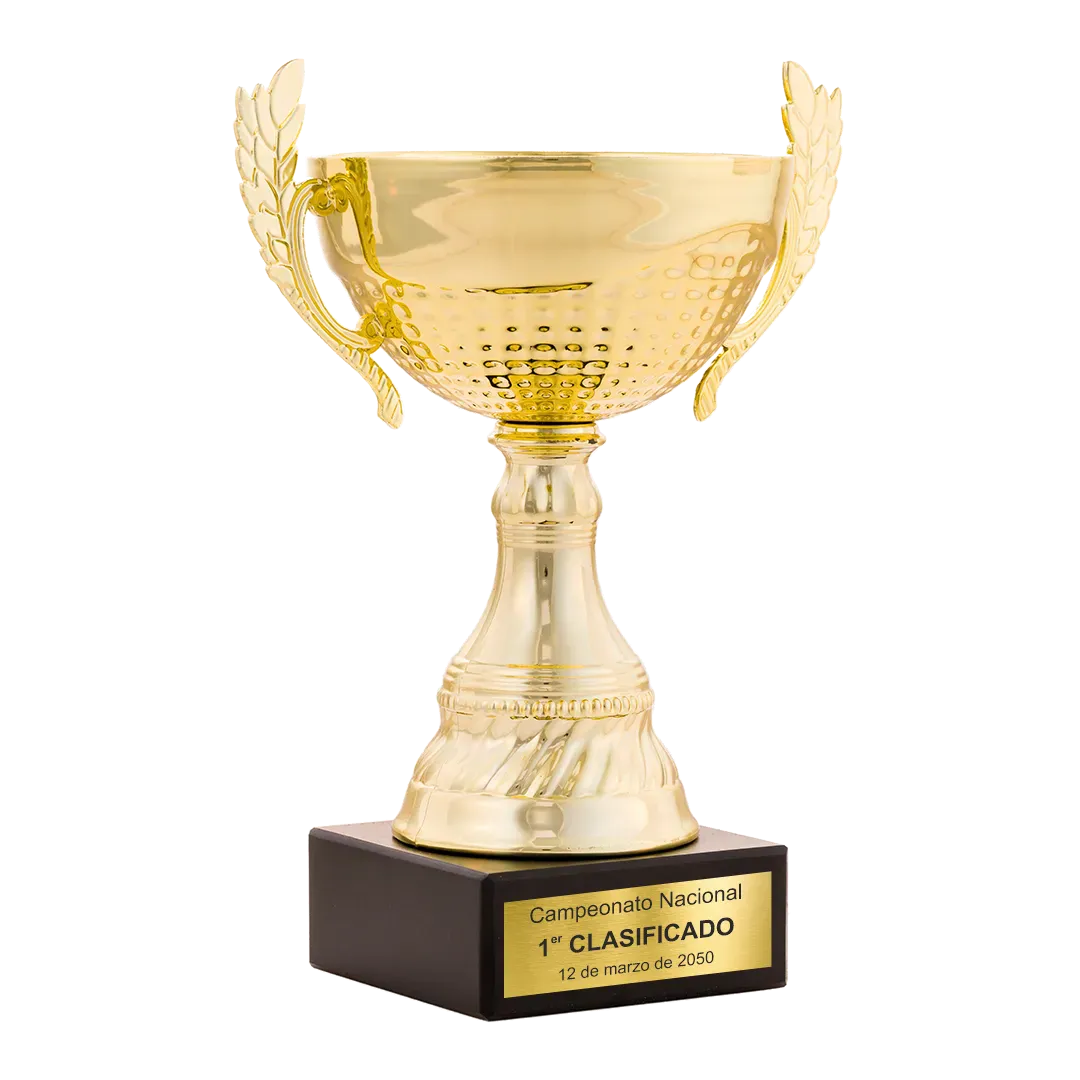 Trofeo Copa Newrochelle en Trofeos LeverySport