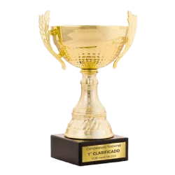 Trofeo Copa Newrochelle ejemplo