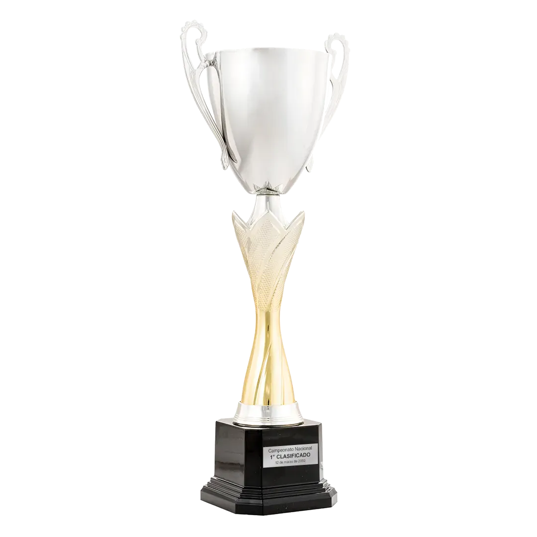 Trofeo Copa Castlerock en Trofeos LeverySport