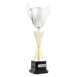 Trofeo Copa Castlerock ejemplo