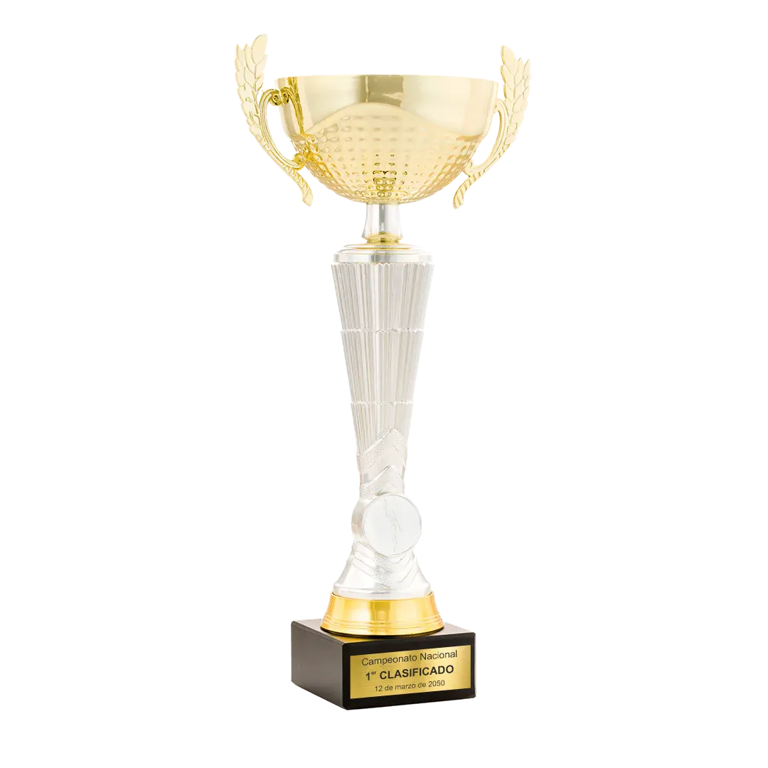 Trofeo Copa Pensacola en Trofeos LeverySport