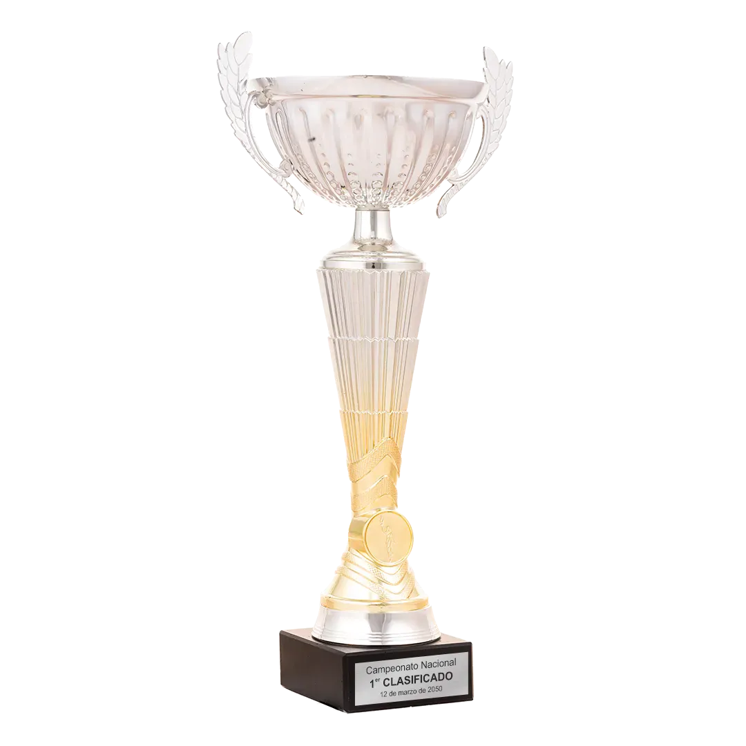 Trofeo Copa Sanjose en Trofeos LeverySport