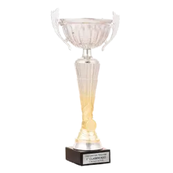 Trofeo Copa Sanjose ejemplo