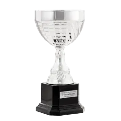 Trofeo Copa Ceres ejemplo