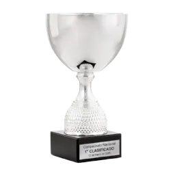 Trofeo Copa Mentor ejemplo