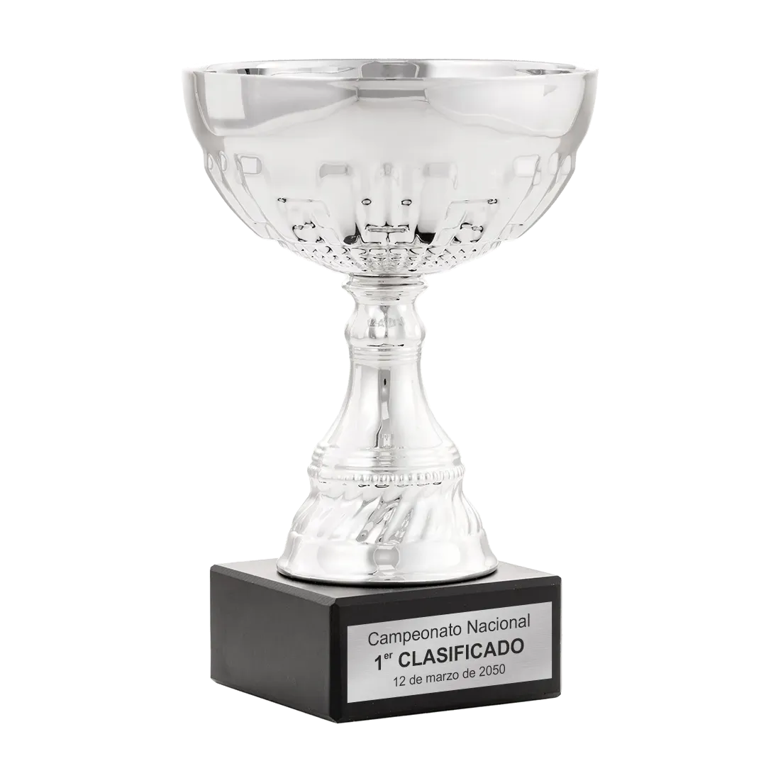 Trofeo Copa Burlington en Trofeos LeverySport
