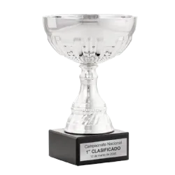 Trofeo Copa Burlington ejemplo