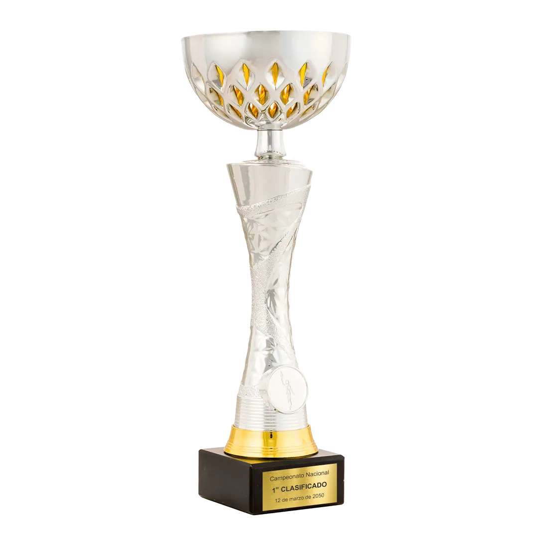Trofeo Copa Concord en Trofeos LeverySport