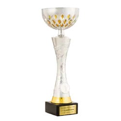 Trofeo Copa Concord ejemplo