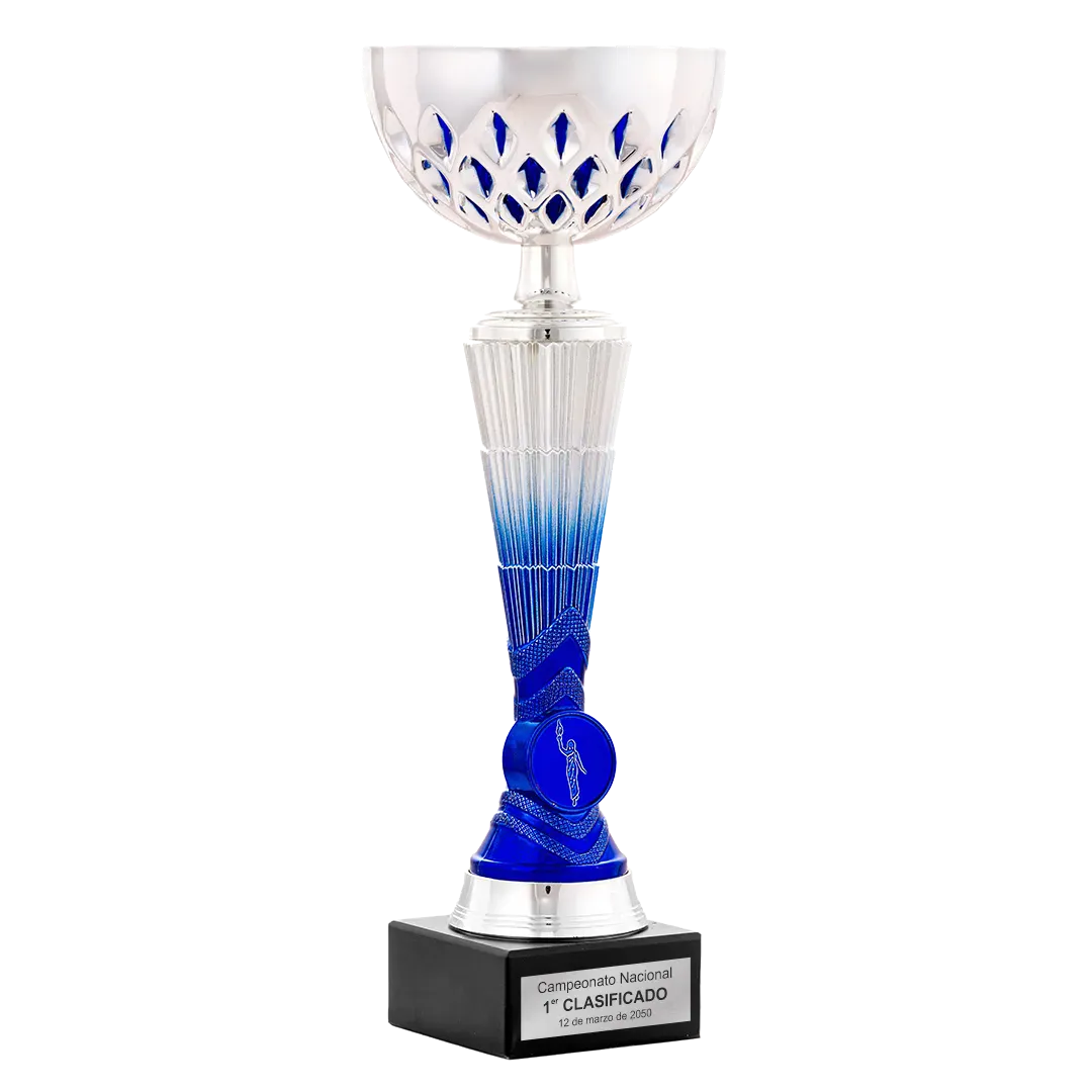 Trofeo Copa Haikou en Trofeos LeverySport