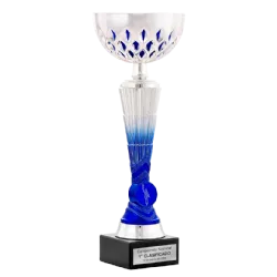 Trofeo Copa Haikou ejemplo