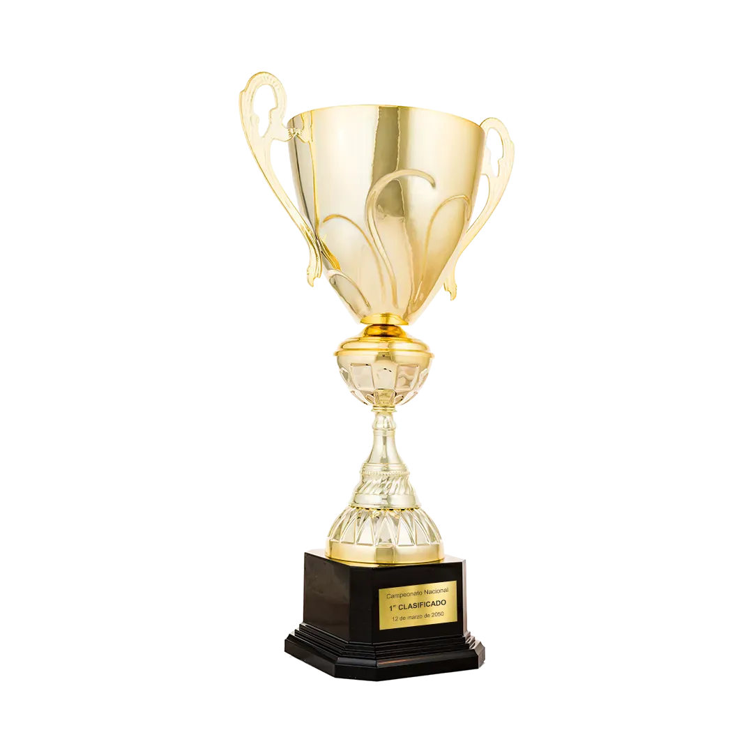 Trofeo Annarbor en Trofeos LeverySport