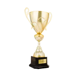 Trofeo Annarbor ejemplo