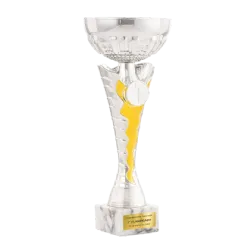 Trofeo Allentown ejemplo