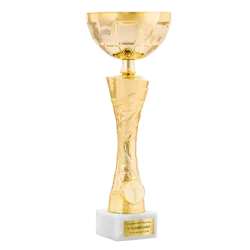 Trofeo Copa Paramount ejemplo