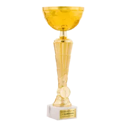 Trofeo Copa Corona ejemplo