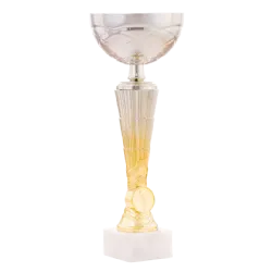 Trofeo Copa Deltona 