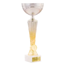 Trofeo Copa Deltona ejemplo