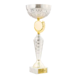 Trofeo Copa Waco ejemplo