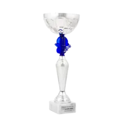 Trofeo Copa Evanston ejemplo