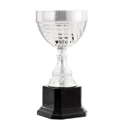 Ref. 1 - Trofeo Copa Ceres 26,5cmx140mm