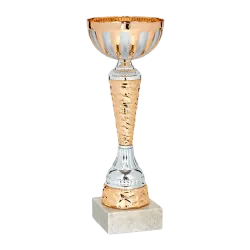 Ref. 2 - Copa Carsoncity 28cm
