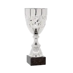 Ref. 4 - Copa Conroe 24cm