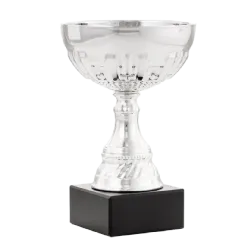 Ref. 3 - Trofeo Copa Burlington 17,5cmx120mm