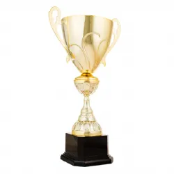 Ref. 1 - Trofeo Annarbor 75cmx260mm
