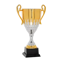 Ref. 3 - Copa Asheville 42cm