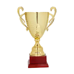 Ref. 5 - Copa trofeo Shizuoka 29cmx120mm