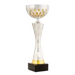 Ref. 3 - Trofeo Copa Concord 31cmx120mm