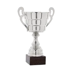 Ref. 2 - Copa Deerfieldbeach 34cm