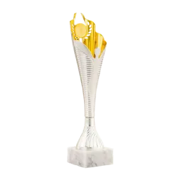 Ref. 2 - Trofeo Plymouth 27cm