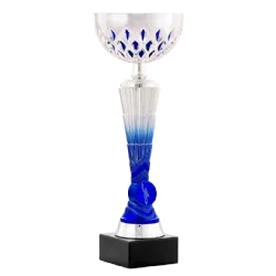 Ref. 4 - Trofeo Copa Haikou 27,5cmx100mm