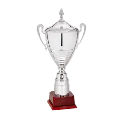 Ref. 1 - Copa trofeo Eindhoven 87cmx300mm