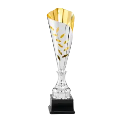 Ref. 3 - Copa trofeo Saitama 43