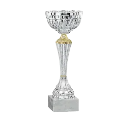 Ref. 2 - Copa Cary 33cm