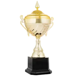 Ref. 2 - Trofeo Casper 35cmx120mm
