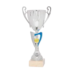 Ref. 2 - Copa Chattanooga 31cm