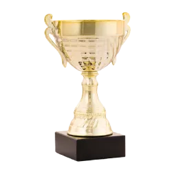 Ref. 1 - Trofeo Copa Hampton 25cmx140mm