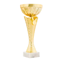 Ref. 3 - Trofeo Copa Irving 24,5cmx100mm