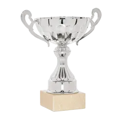 Ref. 1 - Copa Capecoral 28cm