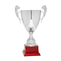 Ref. 5 - Copa trofeo Utrecht 29cmx120mm