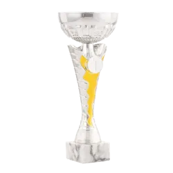 Ref. 1 - Trofeo Allentown 31,5cmx140mm