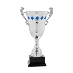 Ref. 3 - Copa trofeo Hyderabad 44cmx160mm